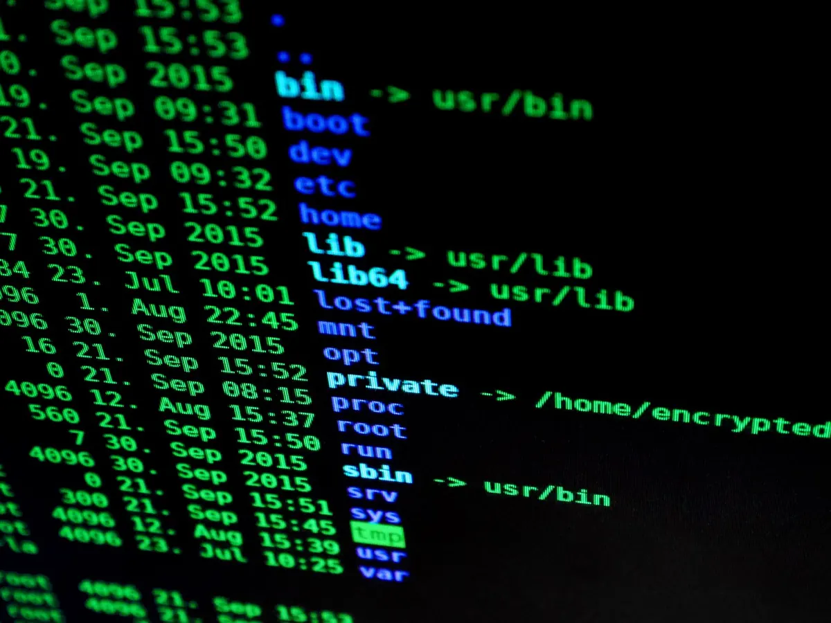 Master the Linux Terminal: 25 Commands Every New User Should Know